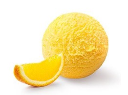 Sorbet sinaasappel 2x2 5l Pagotini