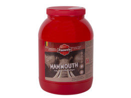 Mammouth saus 3l Pauwels