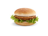 Hamburger Prohalal 30x100g Van Reusel