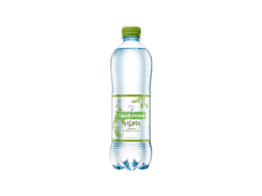 Chaudfontaine Lemon Mint Sparkling 24x50cl