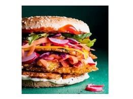Greenway vegan smashburger 80x50gr  857.1  LA STREETFOOD