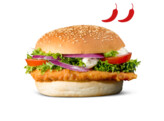 Crispy filetburger hot spicy 2x24x95g Halal Family chicken